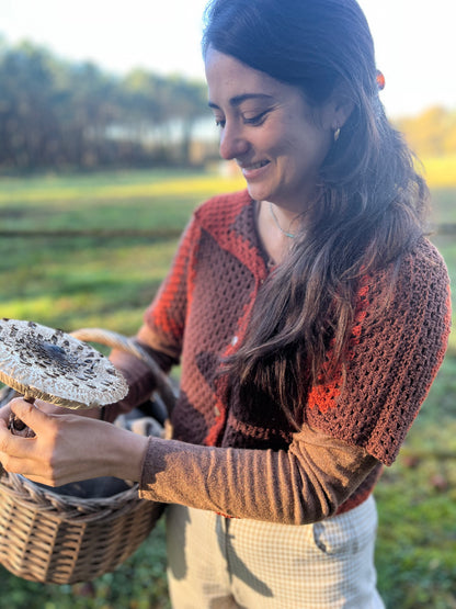 Chemisier ALMA d'automne